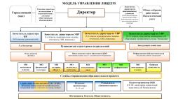 Структура об органах управления и структурных подразделений лицея